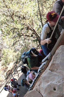 Ladder up to Balcony House Mesa Verde National Park Colorado