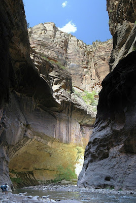 The Virgin River Zion National Park Utah