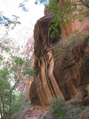 Water stained sandstone along the Virgin River Zion National Park Utah