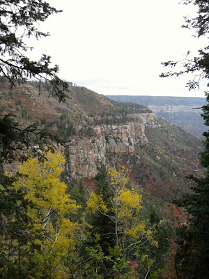 Fall colors Roaring Springs Canyon North Kaibab trail Grand Canyon National Park Arizona