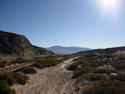 View from Salt Creek trail Death Valley National Park California