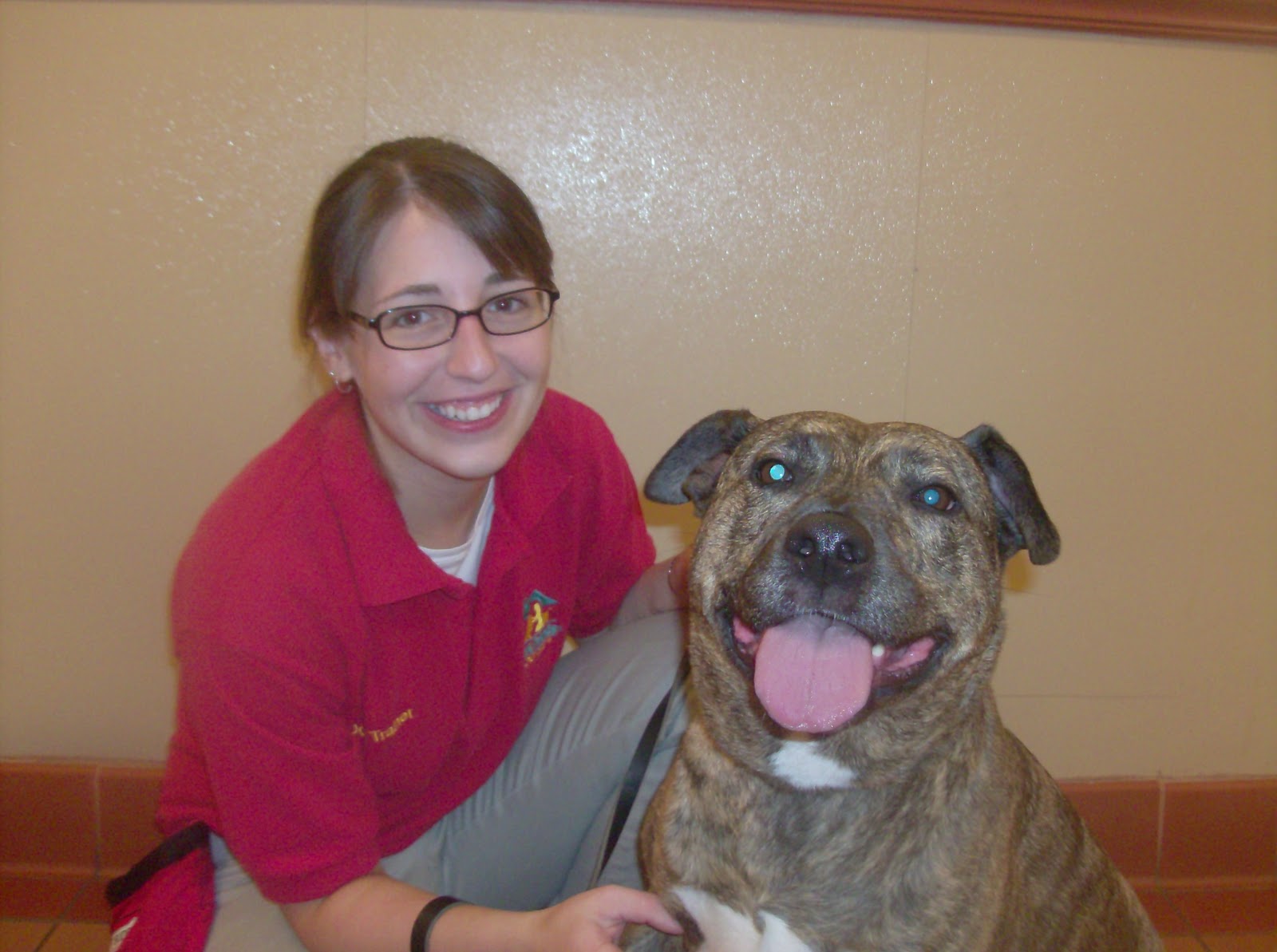 Best Friends Norwalk