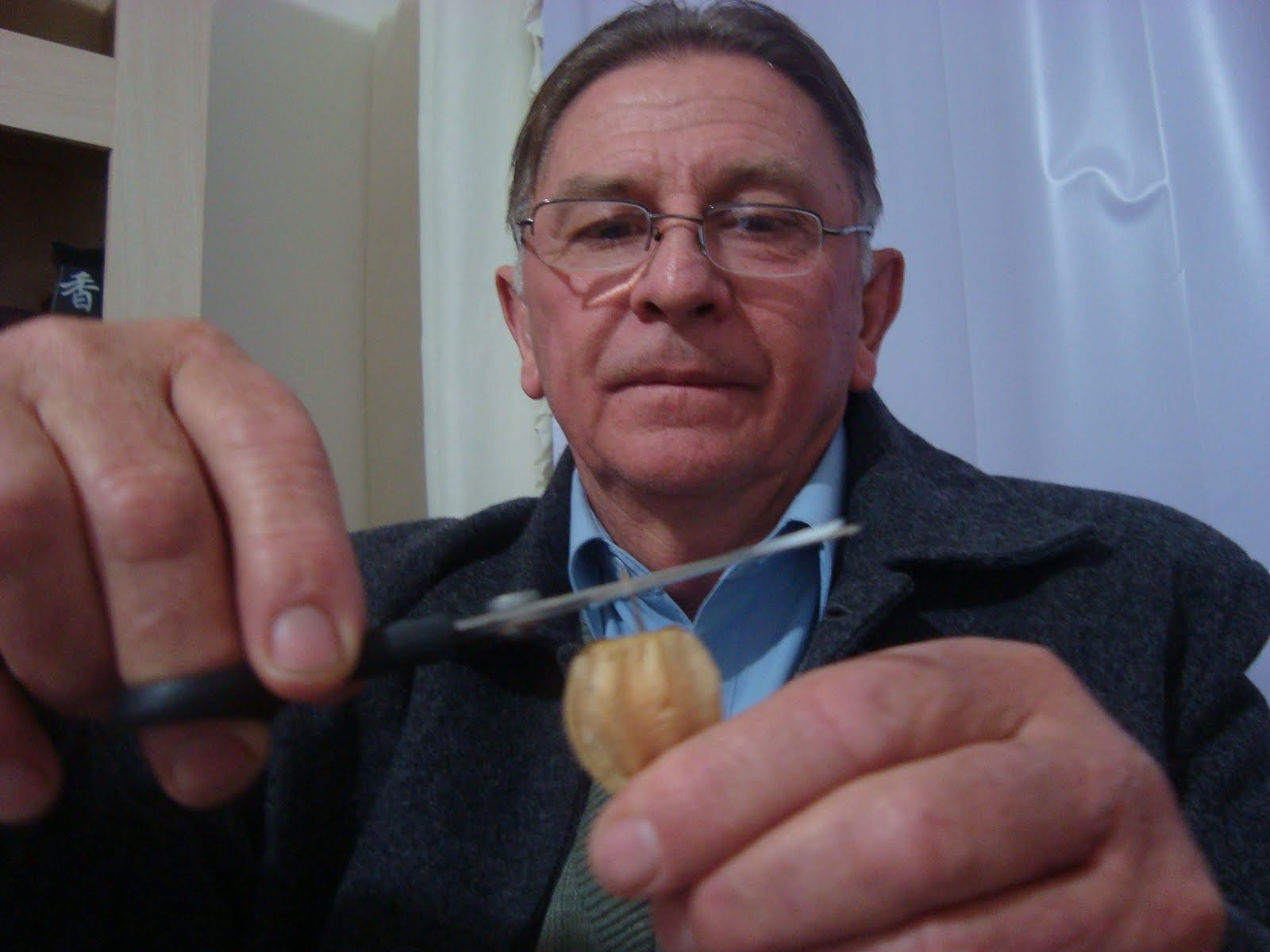 osvaldo-uncini-venda-do-physalis
