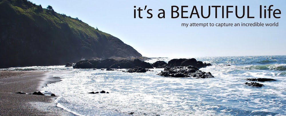 It's a Beautiful Life!!!