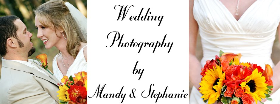Wedding Photography by Mandy & Stephanie