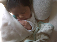 Newborn Devan in Swing