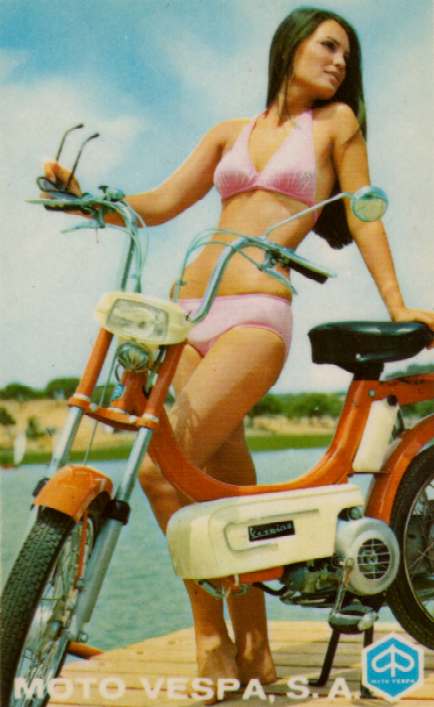 vespino_T-2.jpg