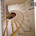 Staircase design ideas - 30 Photos