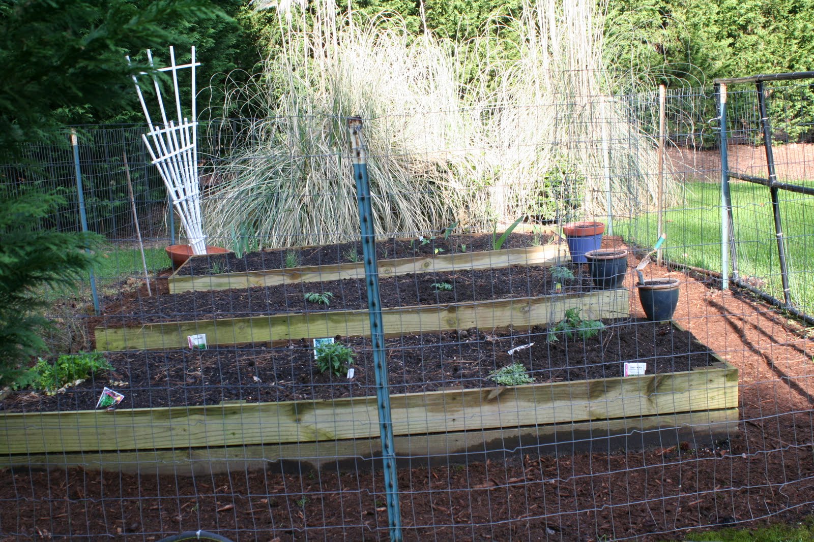 CAROLINA PINES REALTY