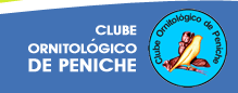 Os meus clubes Ornitológicos