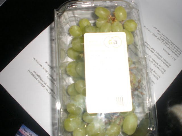 [CIMG0540.JPG]