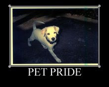 Proud Member of Pet Pride