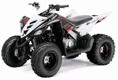 [yamaha-raptor-90-atv-2009.jpg]