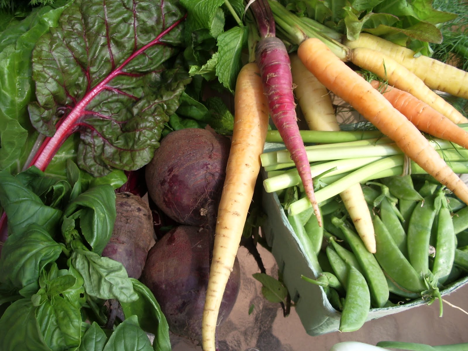 Kitchen Earth The Lazy Lima Bean CSA Updates Week's 4 and 5