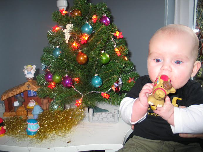 Ik eet kameel met kerst