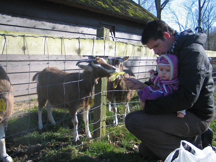 Op de Stadsboerderij