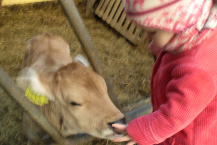 Kleine Roos en Kleine koe