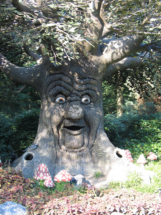 De Sprookjesboom is heel mooi