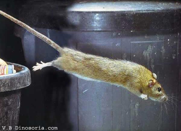 http://3.bp.blogspot.com/_5Dvdo6a5iBU/TS8soCzBo3I/AAAAAAAAPvQ/J7kVk2RAuoA/s1600/zbnbx.jpg