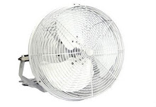 White Mist Fan