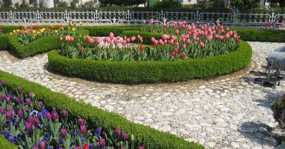 LaMa, orada, surada ve burada Lalelere devam… Bu sefer LaMa, orada, surada ve burada Lalelere devam… Bu sefer