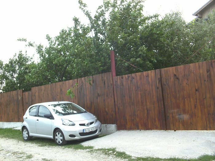 Voi ce intrati in casa mea lasati la poarta toate grijile!