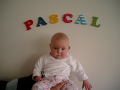 My Life as a Baby, by Pascal