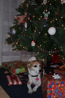 Scout could hardly wait for us to clear out some of the gifts under the tree and make room for her to lay down