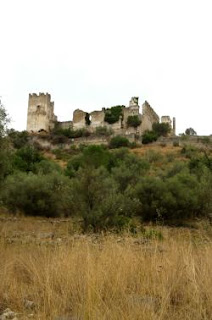 elSocarraet EIXIDETES (2) El Castell de Perputxent