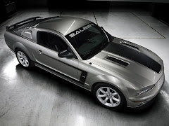 FORD MUSTANG(SALEEN)