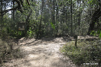 Intersection at the lake drain. Take the right fork to cross the lake drain and continue around the loop.