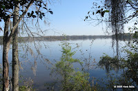 A view from the trail of Lake Talquin.