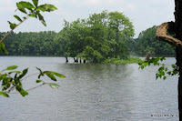 Small island, a submerged ridge in Lake Talquin.