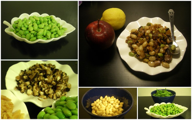 Fun's Gourmand Vegetarian's Recipe Fried Soybean