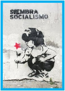 Por  Que  Socialismo