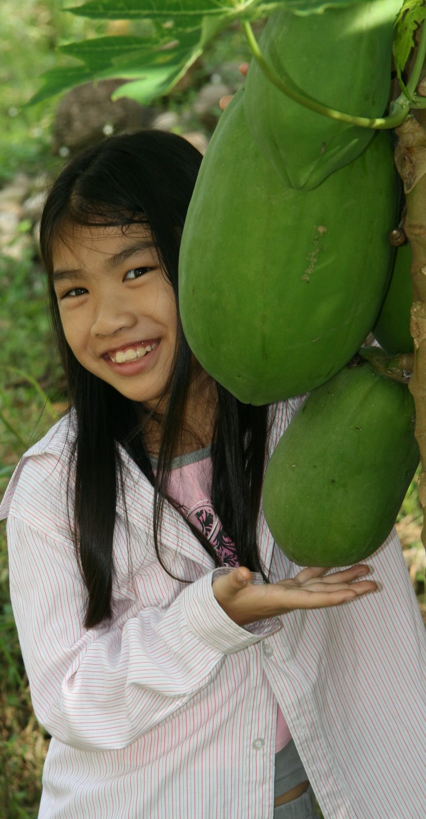 HaoJing The Biggest papaya I ever seen!!