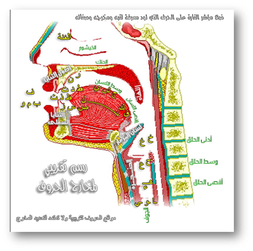 Махарадж арабских букв в картинках