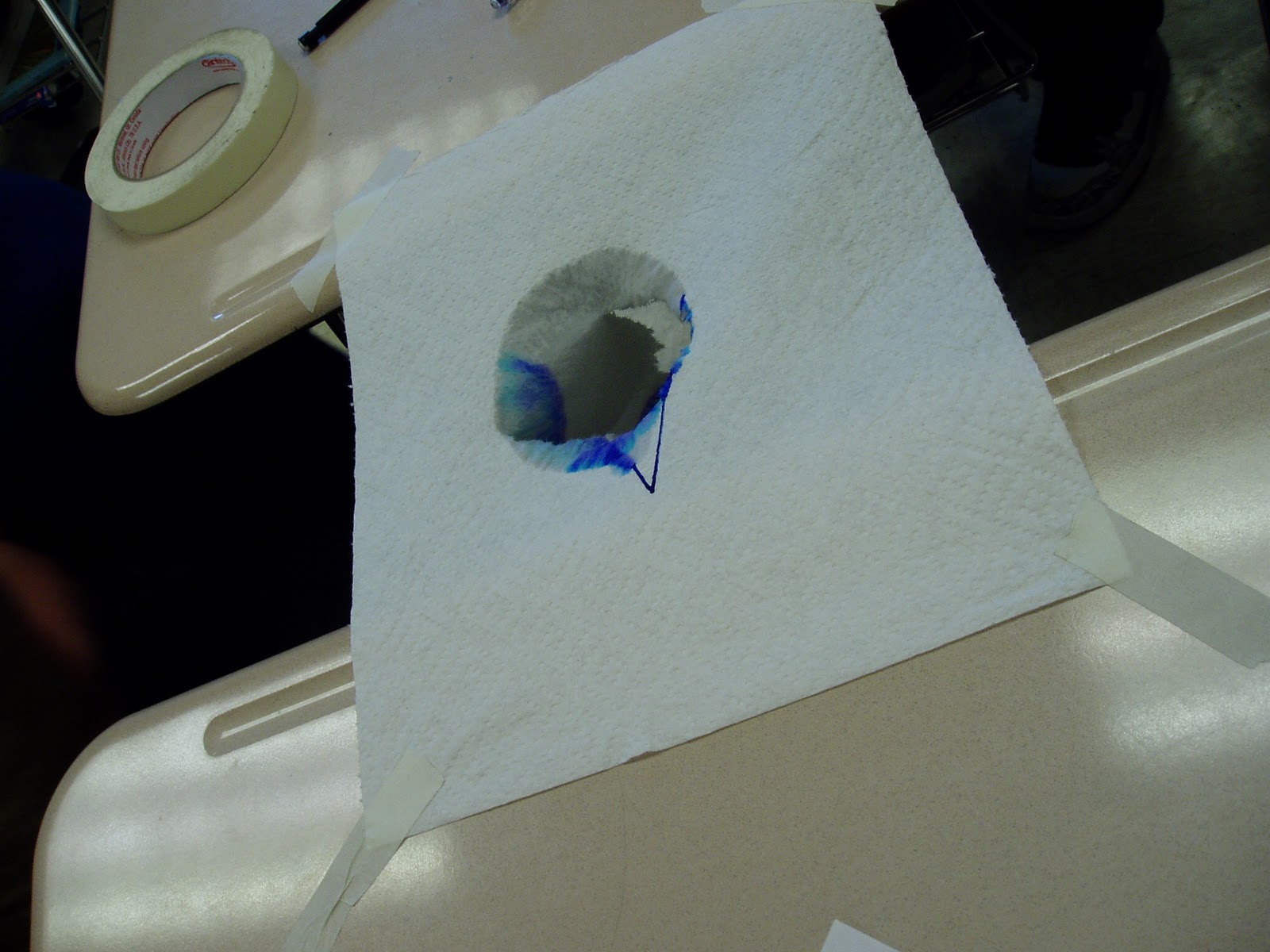 Mrs. Stolp's Classroom Paper Towel Wet Strength Experiment Day Photos