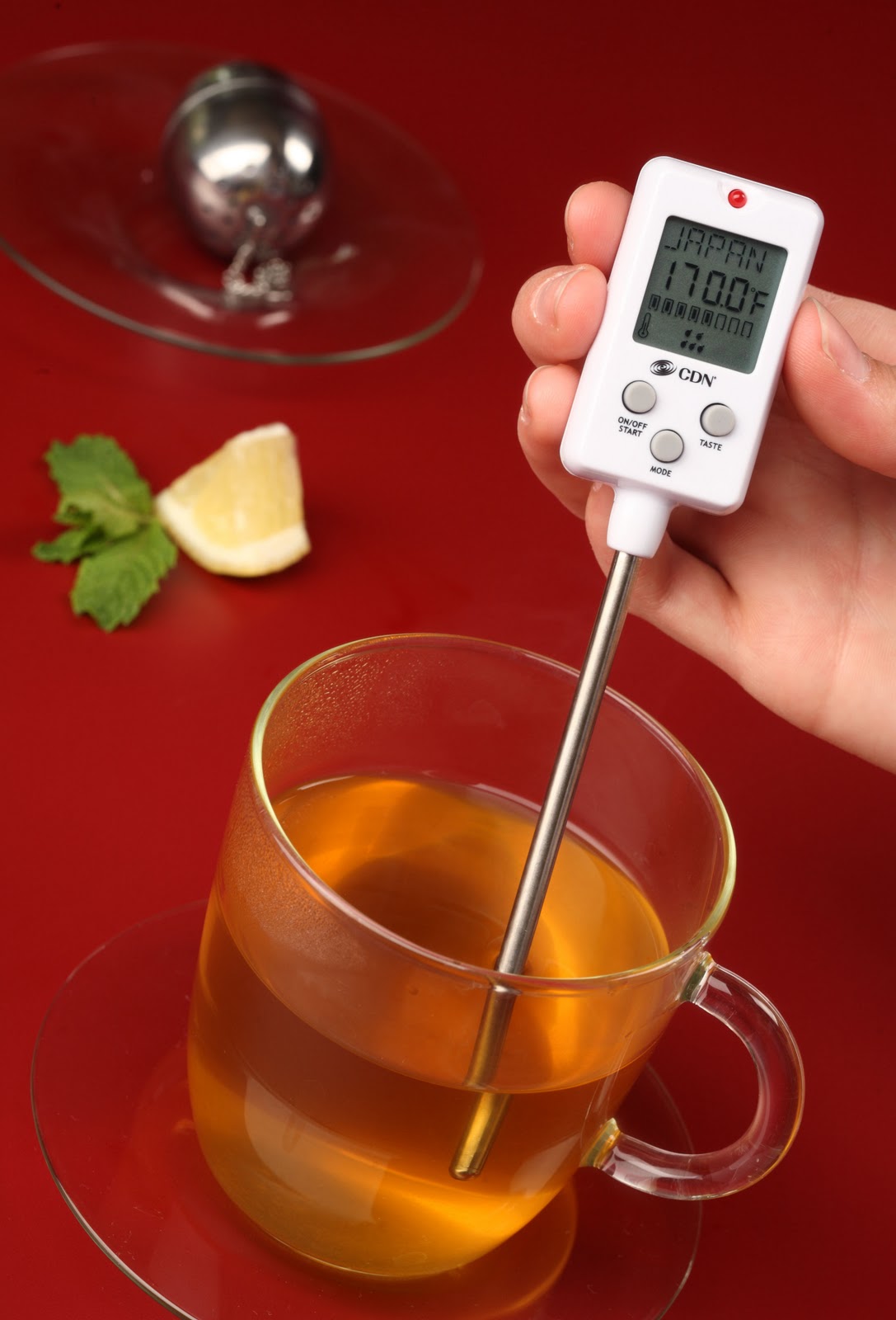 Chic Style Modern Digital TEA Thermometer & Timer