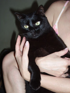 Minha gata é linda!