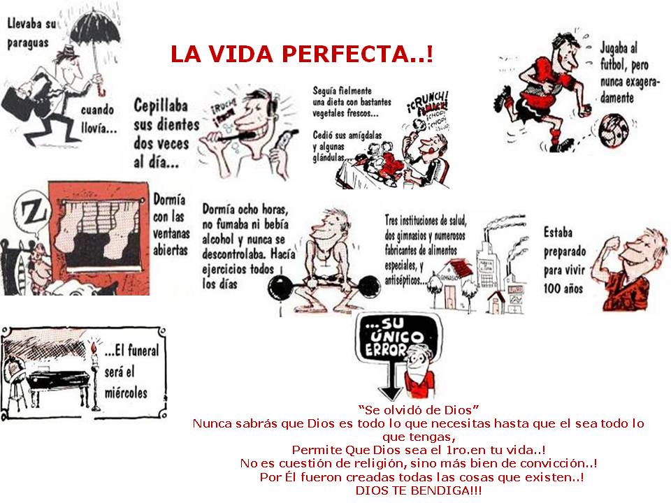 [La+Vida+Perfecta.jpg]