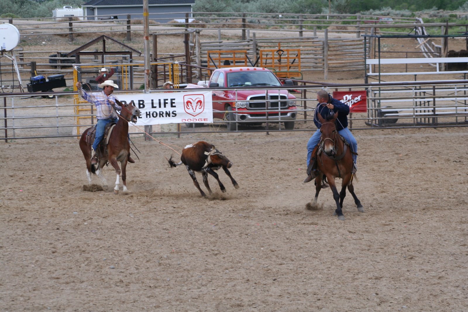 PairADice Mules: Jake Clark Mule Days Practice Roping