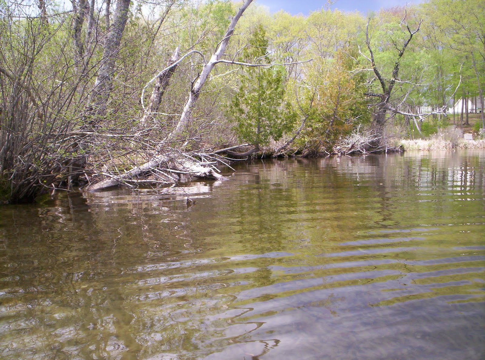 Friends of Sebago Lake China Lake , Maine Department of Environmental