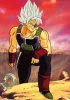 Bardack SSJ
