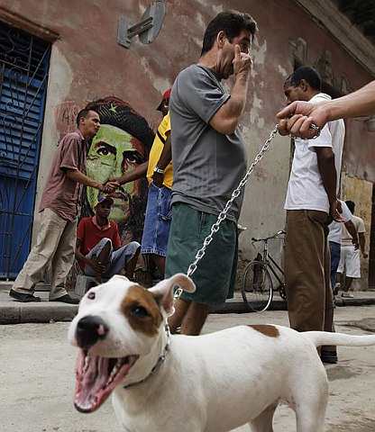 [cyclist+passes+4.jpg]