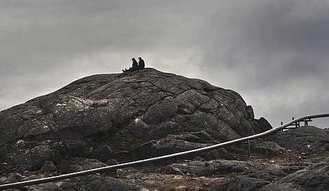 [Canadian+Arctic+6.jpg]