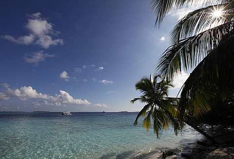 [An+aerial+view17.jpg]