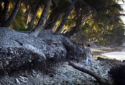 [An+aerial+view7.jpg]