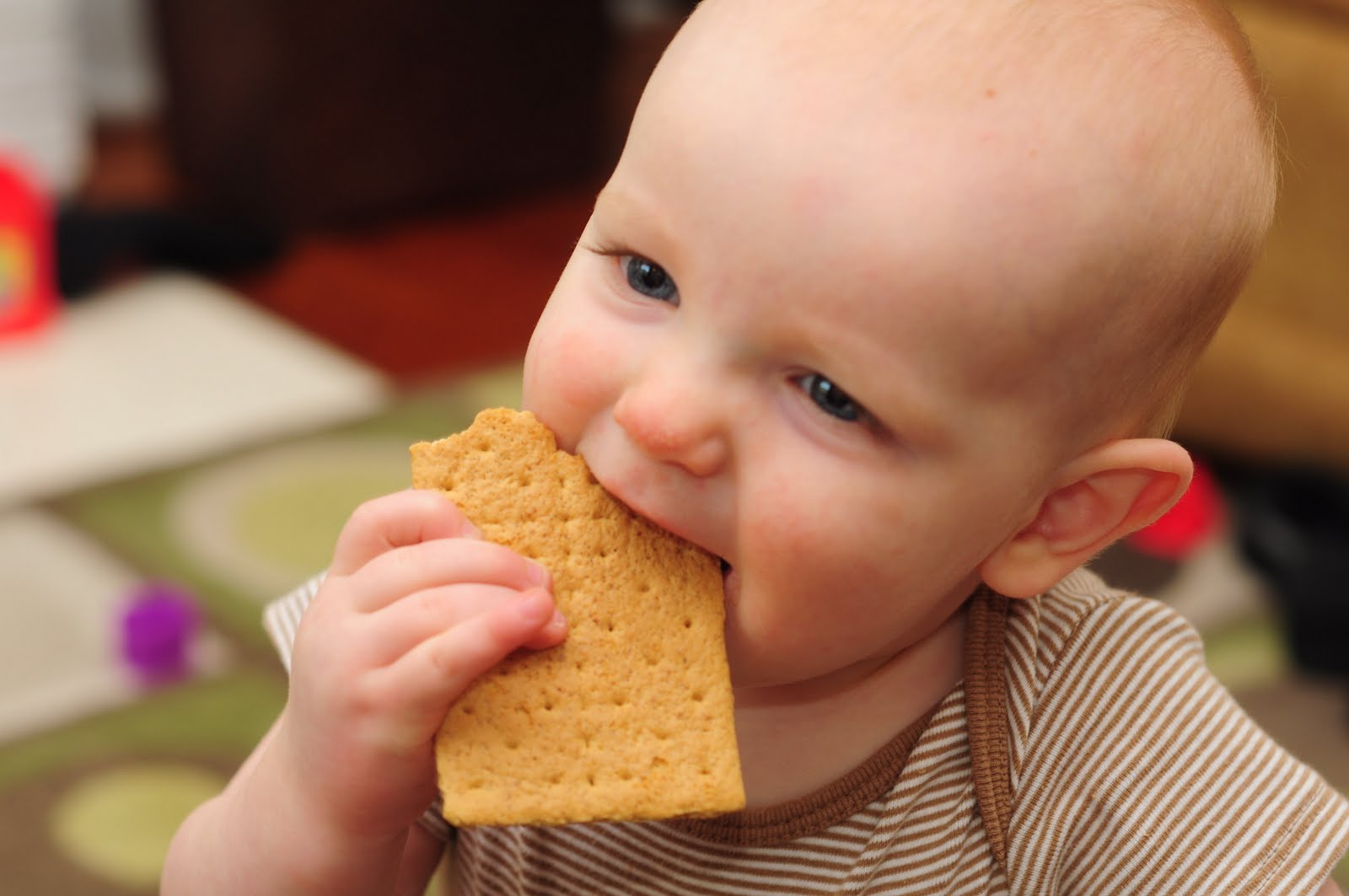 The Tillery Times Graham Cracker Goodness