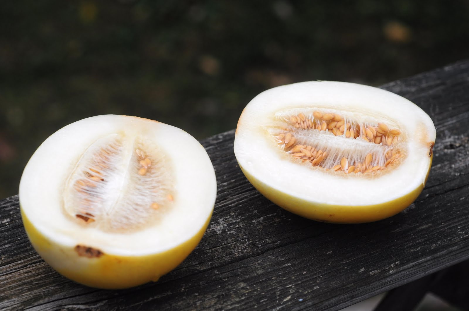The Tillery Times Local Bounty Sprite Melon